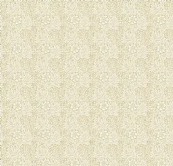 075-00909